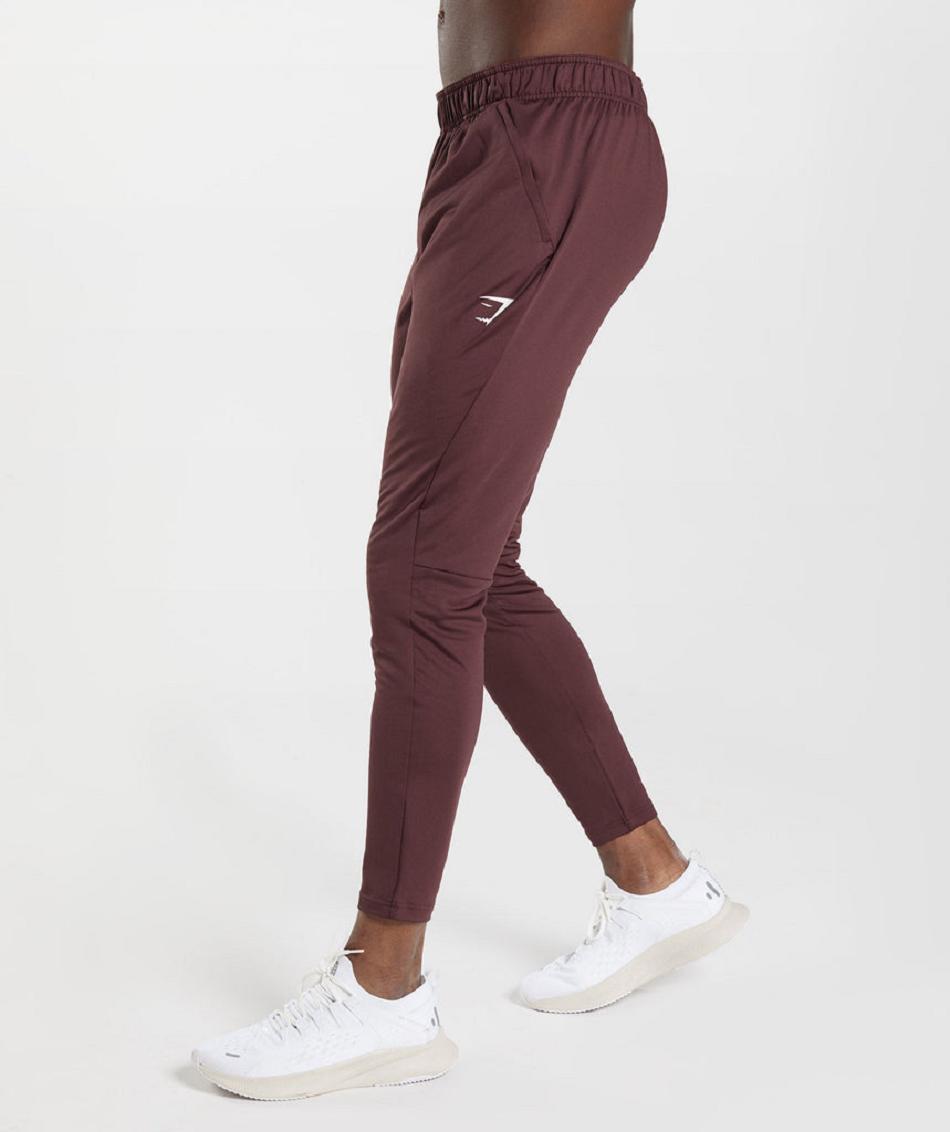 Pantalones Jogger Gymshark Deporte Hombre Burdeos | CO 3743DFM